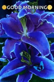 Image result for tbn:ANd9GcQzWo5lBIPWKebvy1oRkgh5c-dE8XiN3VXZR7m1YtZmdakAs_N-Mhco6w:http://www.cqham.ru/flower.gif