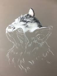 Mark any high areas of contrast with a line. How To Draw A Kitten With Pastel Pencils Saa