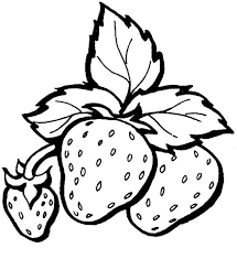 Gambar Buah Buahan Untuk Mewarnai Anak Paud