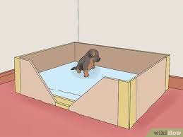 Post your classified ad for free in various categories like mobiles, tablets, cars, bikes, laptops, electronics, birds, houses, furniture, clothes, dresses for sale in pakistan. 4 Ways To Buy A German Shepherd Puppy Wikihow