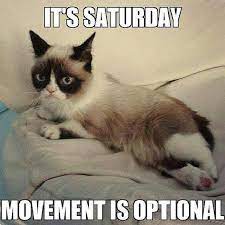 101 Funny Saturday Memes Will Make You Laugh From Morning Till Night Funny Cat Memes Funny Saturday Memes Saturday Humor