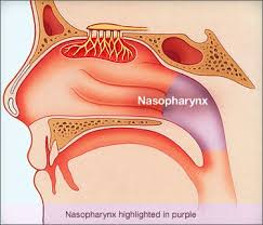 Feeling like you need to cough. Nasopharyngeal Cancer Symptoms Causes And Treatment