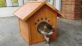 Ucretsiz Kedi Evi Adore Mobilyadan Kedievimadoreden Youtube