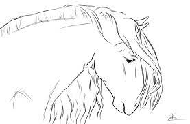 Online coloring pages, the computer and the internet have opened an entirely new spectrum of coloring and drawing. Andalusian Head Horse Coloring Pages Horse Drawings Watercolor Horse Painting