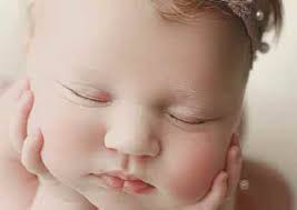 2020FAMILYFAVORITESWINNERS 2020SCHOOLDIRECTORSGUIDE