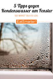 5 Tipps Gegen Kondenswasser Am Fenster Tipps Hausreinigungs Tipps Hausmittel Fur Die Gesundheit