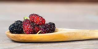 39.75% smaller amount of sugars per 100g? Mulberry Fruit Nutrition Facts And Health Benefits Nutrition Advance