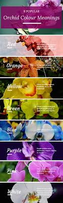 Wonderful Photo Orchid Flower Meaning Tips Flower Meanings Orchid Flower Funeral Flowers