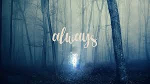 You will definitely choose from a huge number of pictures that option that will suit you exactly! Alan Rickman Always And Harry Potter Image Silver Doe Harry Potter 7 1024x576 Download Hd Wallpaper Wallpapertip