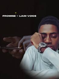 I Love You to The Moon and Back Song by Liam Voice