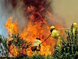 Image result for Radiant Fire 1993 Shadow