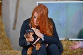 Non è solo più comodo per il tuo cane essere asciutto, la . A Dalla Parte Degli Animali La Casa Dei San Bernardo I Cani Anti Veleno E La Ragazza Che Parla Con I Lupi Leidaa