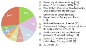 Image result for Grewia inaequilatera
