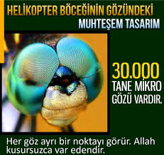 Helikopter Boceginin Gozundeki Muhtesem Tasarim 30 000 Tane Mikro Gozu Vardir Her Goz Ayri Bir Noktayi Gorur Allah Kusursuzca Var E Helikopter Kultur Bilgi