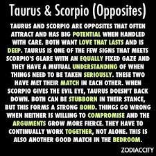 12 Quotes About Scorpio Taurus Relationships Scorpio Quotes