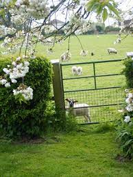 View Through My Old Garden Gate Farm Life Country Farm Country Life