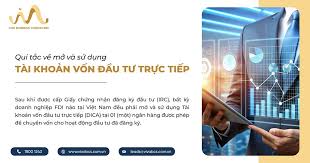 QUI TẮC VỀ MỞ VÀ SỬ DỤNG TÀI KHOẢN VỐN ĐẦU TƯ TRỰC TIẾP
