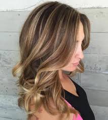 To achieve this look one needs to just color the lower end of the hair with blonde brown colors. 50 Light Brown Hair Color Ideas With Highlights And Lowlights