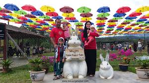 10 tempat menarik yang wajib sampai di sabah kota kinabalu. Ranau Rabbit Farm Destinasi Menarik Di Ranau Untuk Dikunjungi