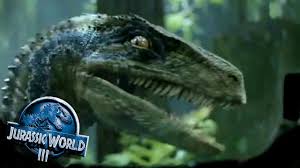 Jurassic world 3 is already on the way. What Is This New Footage Of Blue In Jurassic World Iii Fandom