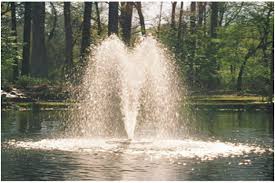 Maybe you would like to learn more about one of these? Learn How To Maintain Your Fountain Pond My Decorative
