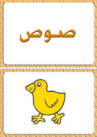 ألبومات صور منوعة صور مجموعة بطاقات لبعض كلمات اللغة العربية مع رسم تمثيل كل كلمة Photo Design Drawings Some Words