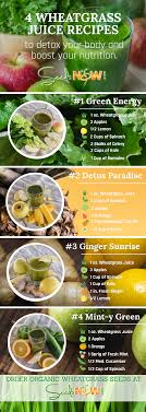 4 Wheatgrass Juice Recipes To Detox The Body Boost Nutrition Info Healthy Juice Recipes Juicing Recipes Wheatgrass Smoothie