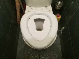 kak priuchit kota k unitazu prosto i nadezhno unitaz kot nakladki