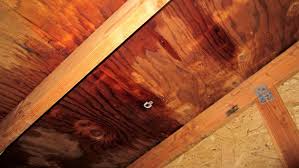 You cannot 'repair' that wood. 7 Unexpected Dangers Of A Leaky Roof Angie S List