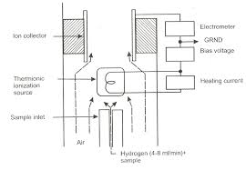 The 5973n msd can handle up to two gc detectors in addition to the mass selective detector with local area network (lan) communication, you can place the data system anywhere you want. Nitrogen Phosphorous Detector 5 1 3 Mass Selective Detector Msd Download Scientific Diagram