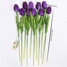 We did not find results for: Buy Fiveseasonstuff Tulips Artificial Flowers Real Touch Wedding Bouquet Home Decor Party Floral Arrangements 15 Stems Sweet Plum Purple Online In Indonesia B07qvg3xhh