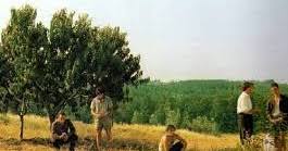 Analisi grammaticale online per gli studenti di tutte le scuole, fatta dall'analizzatore grammaticale di archivium, completo, veloce e preciso. Scuolatest Analisi Grammaticale Svolta