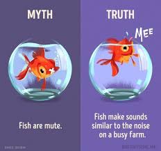 12 Myths About Animals That You Probably Still Believe True Interesting Facts Fun Facts Fun Facts About Animals
