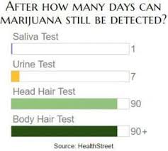 One more important piece of hair follicle drug testing information is that certain substances are more detectable in a hair drug test than others. How To Pass A Hair Follicle Drug Test In 2020 Stonersretreat