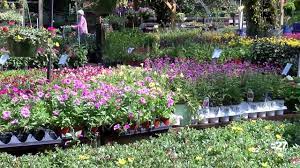 Manage all your bills, get payment due date reminders and schedule. We Re Open Tallahassee Esposito Garden Center Offers Relaxation While Social Distancing