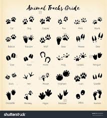 Boklam terang mei 17, 2021. Tierspuren Fussabdruckfuhrer Delicatetattoo Energytattoos Fightingtattoos Glyphtattoo Inspirationaltattoos P Dog Tattoos Animal Tracks Pawprint Tattoo
