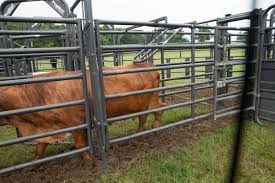 Universal Alley Stop Livestock Fence Panels Livestock Fence Cattle Panel Fence