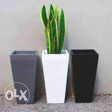 Icydk, they also come in the form of mugs and jewelry holders! Supplier All Kinds Of Pots Garden Pots Plant Box Supply Furniture Home Living Gardening Gardening Tools Ornaments On Carousell