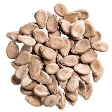 Image result for Blepharis burundiensis