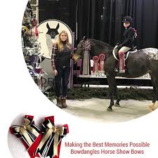Pet ownership requires ongoing maintenance and the right pet products to fit your pet's needs. A Young Rider Wins Reserve Champion At Her First Rated Horse Show At The World Equestrian Center Wearing Bowdangles Horse Show Show Horses Horses Horse Trailer