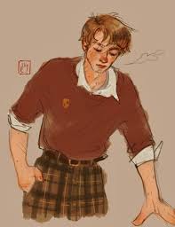 Remus Harry Potter