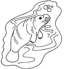 Celebrate their love of manatee coloring page with bright colors. Manatee Coloring Pages Kizi Coloring Pages