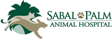 They designed and built out a 5000 sf rental space that served bonita springs, estero, south ft. Veterinarian Naples Florida Sabal Palm Animal Hospital Tonya Loreman Dvm And Shelley Gothard Dvm