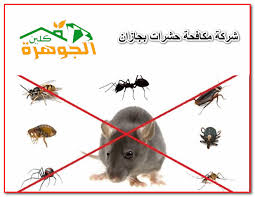 شركة مكافحة حشرات بجازان تقوم بالاستعانة بالمبيدات التي تخلص الأماكن من الحشرات بشكل تام بأسهل الطرق وبأحدث الأجهزة ال Novelty Christmas Insect Control Novelty