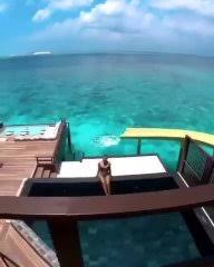 Réservez en ligne au meilleur prix ! Une Villa De Reve Avec Toboggan Aux Maldives Sur Orange Videos