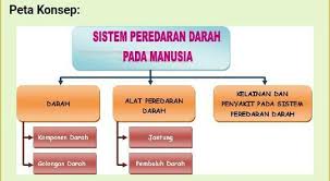 Peta konsep landasan pendidikan | cara mengerjakan tugas modul pedagogik 1 pada modul ppg, selain mempelajari materi di modul landasan pendidikan peserta. 1 Buatlah Peta Konsepyangberisi Tentang Gangguan Padasistem Peredaran Darah Manusia Brainly Co Id