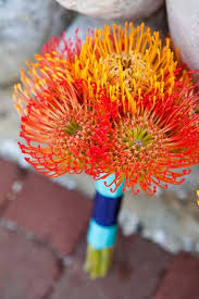 Pin On Orange Flowers Pincushions