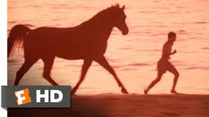 Tons of awesome megan thee stallion wallpapers to download for free. The Black Stallion Film Alchetron The Free Social Encyclopedia