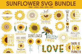 Download Sunflower Svg Bundle Sunflower Sublimation 819019 Cut Files Design Bundles