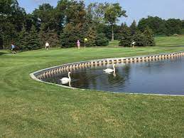 Proper aeration will limit foul pond odors by increasing dissolved oxygen and speeding up decomposition of organic matter and chemicals such as. Lakewall Construction Affordable Long Lasting Vinyl Solutions Esp